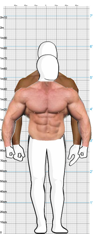 Full Size Comparison