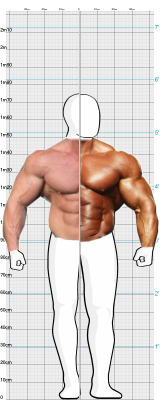 Full Size Comparison