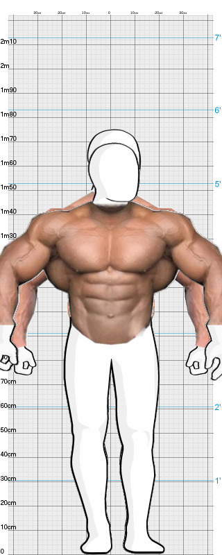 Full Size Comparison