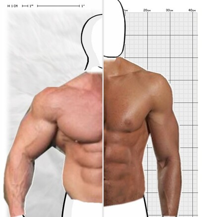 Torso Comparison