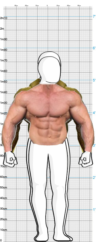 Full Size Comparison