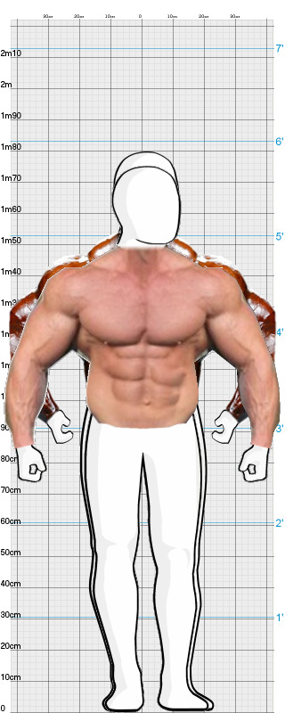 Full Size Comparison