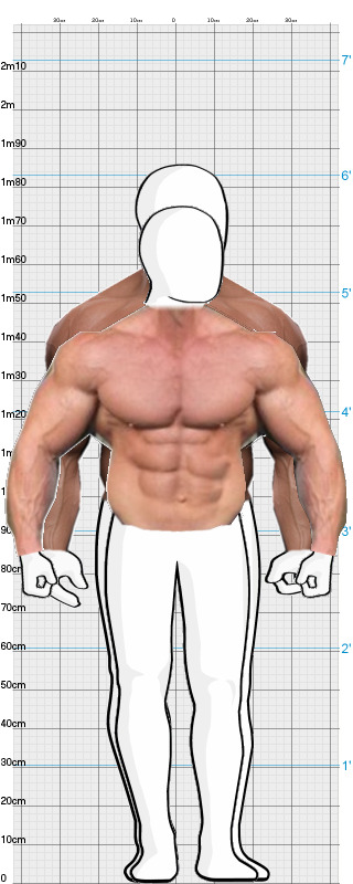 Full Size Comparison