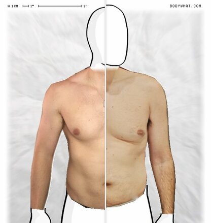 Torso Comparison