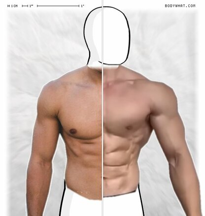 Torso Comparison