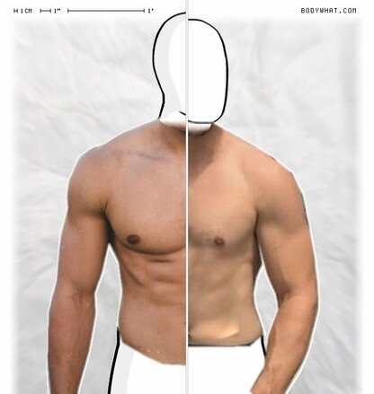 Torso Comparison