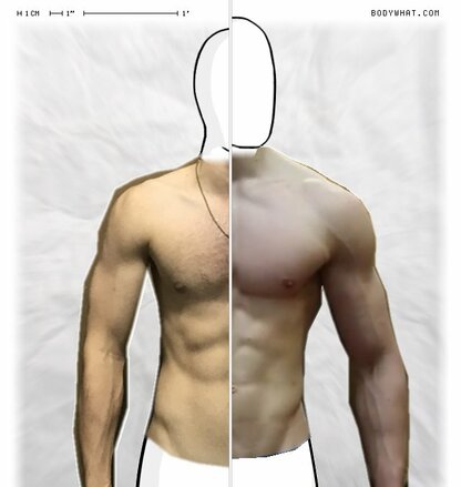 Guncel Vs David Laid Start Bodywhat