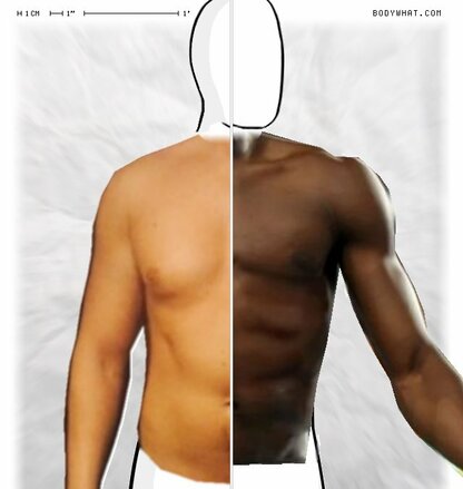 Torso Comparison