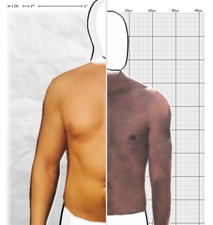 Torso Comparison