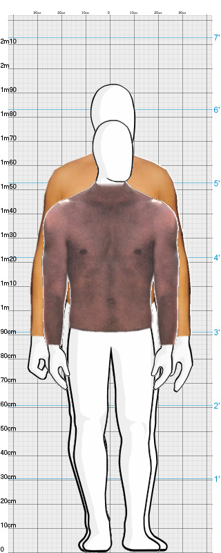 Full Size Comparison