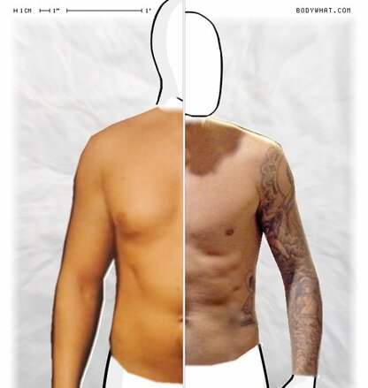 Torso Comparison