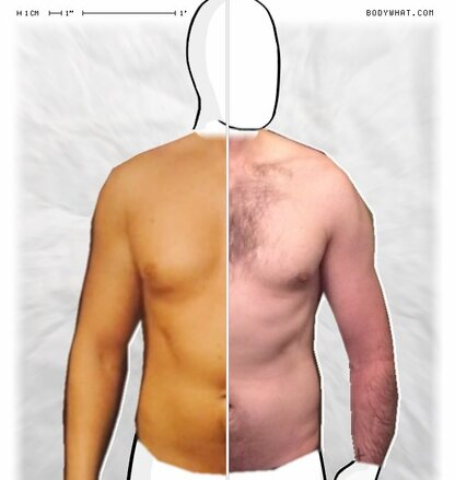 Torso Comparison