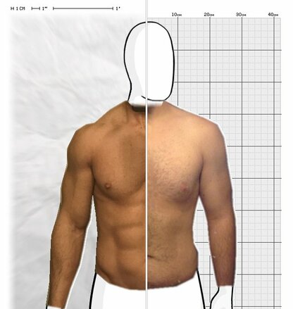 Torso Comparison