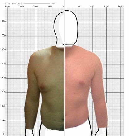 Torso Comparison