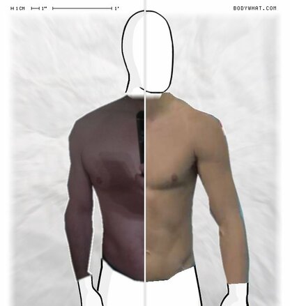 Torso Comparison