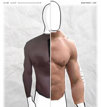 Torso Comparison