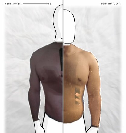 Torso Comparison