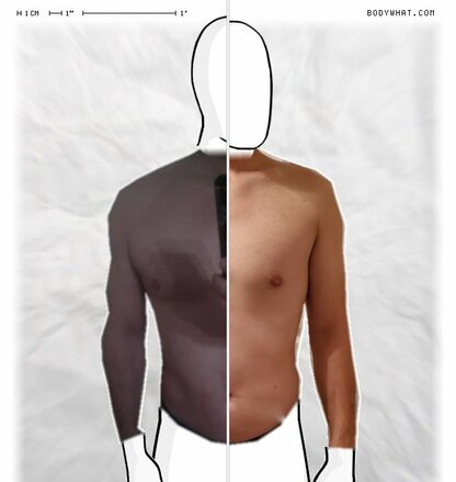 Torso Comparison