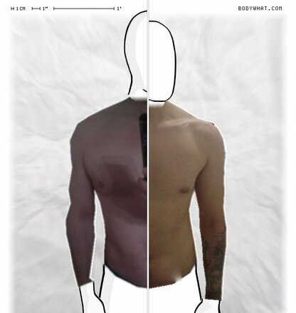 Torso Comparison