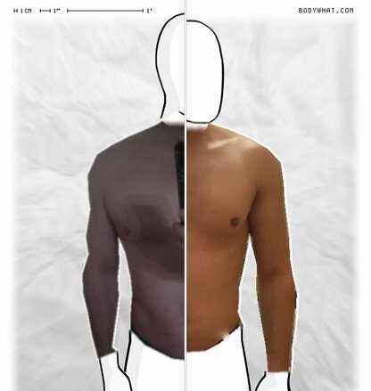 Torso Comparison