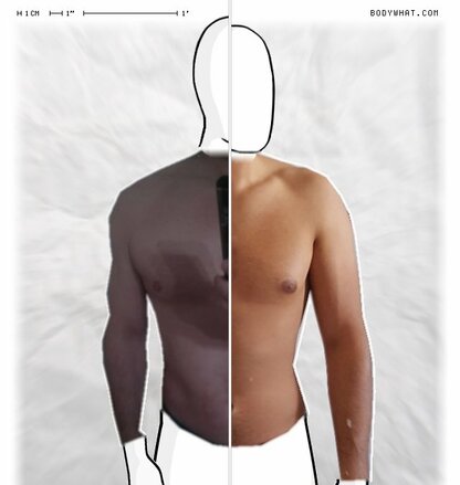 Torso Comparison