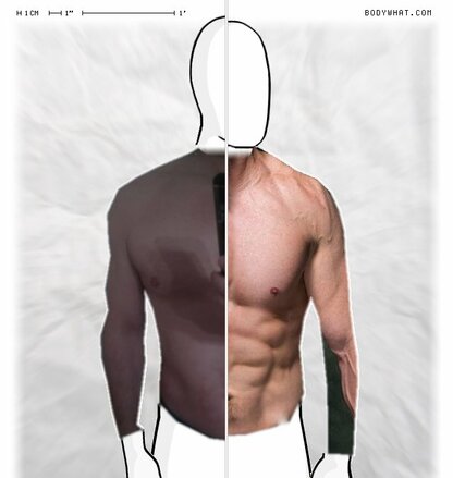 Torso Comparison