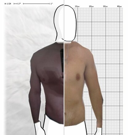 Torso Comparison