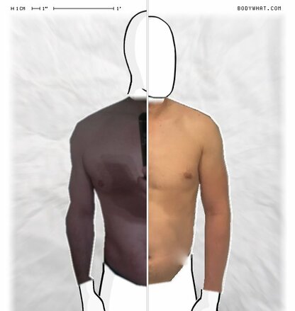 Torso Comparison