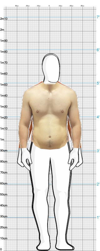 Full Size Comparison