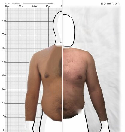 Torso Comparison