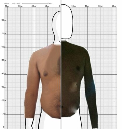 Torso Comparison