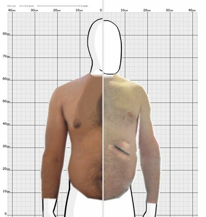 Torso Comparison