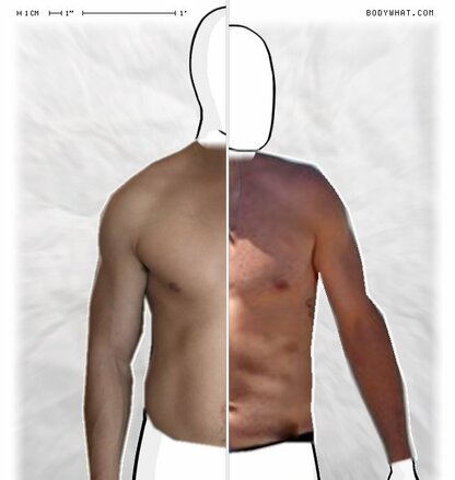Torso Comparison