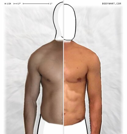 Torso Comparison