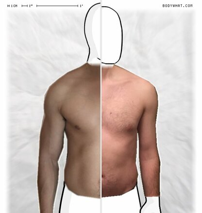 Torso Comparison