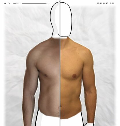 Torso Comparison
