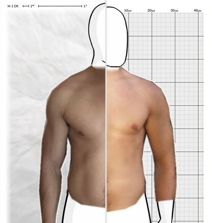 Torso Comparison