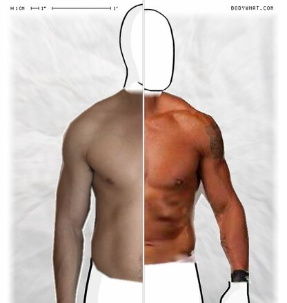 Torso Comparison