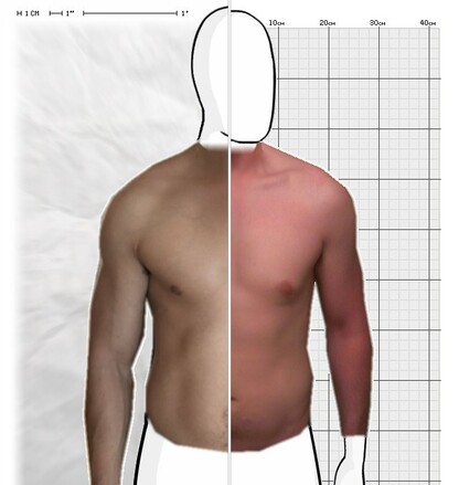 Torso Comparison