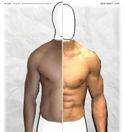 Torso Comparison