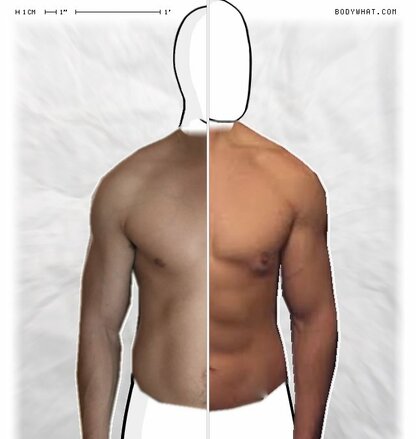 Torso Comparison
