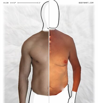 Torso Comparison