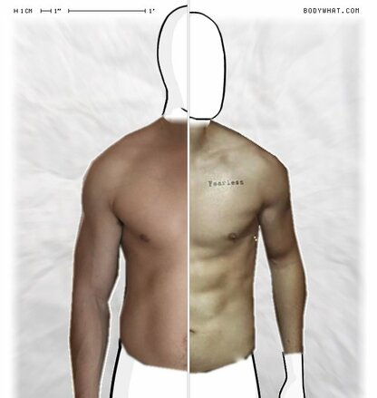 Torso Comparison