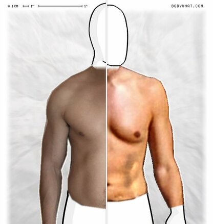 Torso Comparison