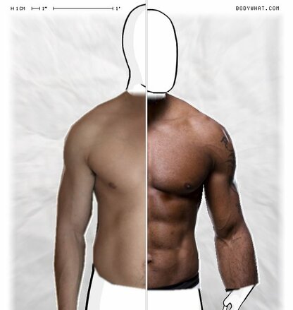 Torso Comparison