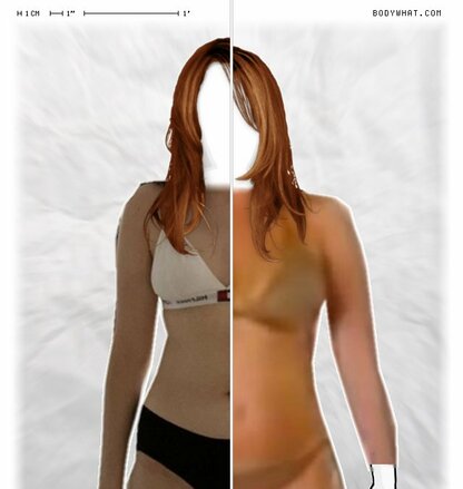 Torso Comparison