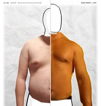 Torso Comparison