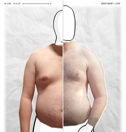 Torso Comparison