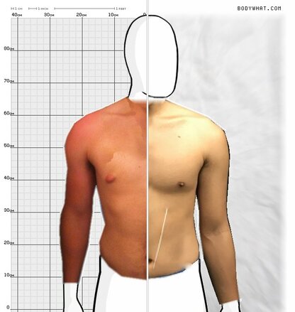 Torso Comparison