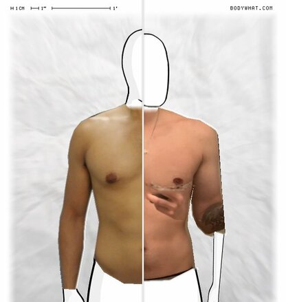 Torso Comparison